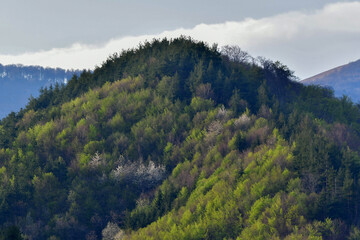 Obraz premium view of the mountains