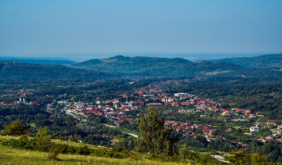 Fototapeta premium landscape with flowers