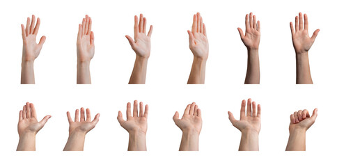 Hand raised in a wave, inviting gesture with fingers outstretched, signaling attention and