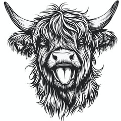 head of cow