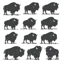 Bison Silhouette Set Of Grazing Animals On White Background Illustration