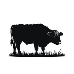 Angus Cattle Illustration Silhouette Of Bull Grazing In Pasture With Grass