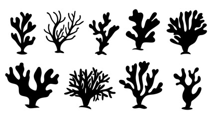 Seaweed silhouettes, coral black icon. Abstract organic shape, underwater plant, matisse element, cute sea doodle.