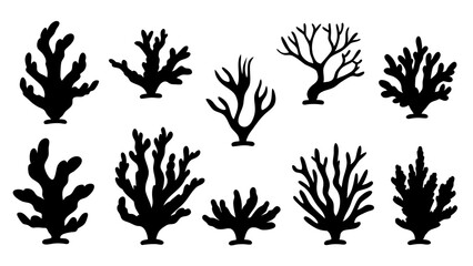 Seaweed silhouettes, coral black icon. Abstract organic shape, underwater plant, matisse element, cute sea doodle.