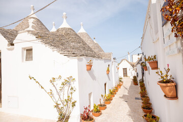 Bright alley in Alberobello with iconic trulli houses and terracotta flower pots lining the path,...