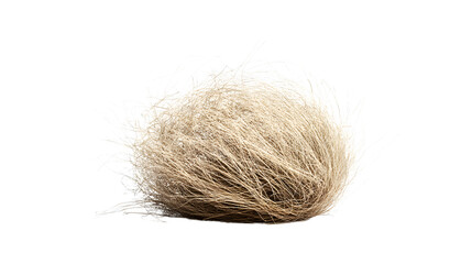 Tumbleweed of Desert Origins Isolated on Transparent Background