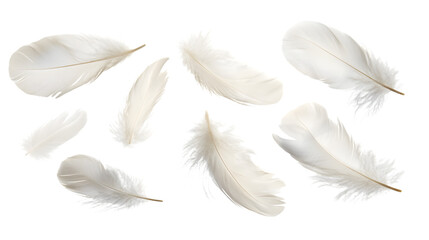 Obraz premium Ethereal White Feathers Floating Gracefully in Air, Isolated on Transparent Background