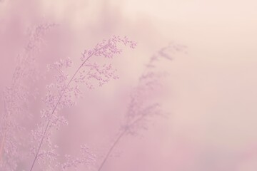 Delicate grass in soft pastel hues
