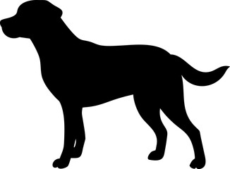 a detailed animal silhouette of a pet dog    (1).eps