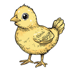 Cute Cartoon Chick Illustration For Easter And Springtime Designs Hand Drawn Isolated