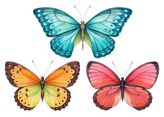 Fototapeta premium set of butterflies isolated on white background, PNG