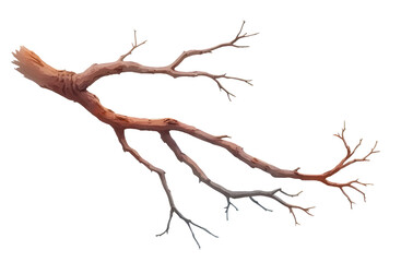 Fototapeta premium Detailed illustration of bare branch with intricate twigs and textures.,cut out