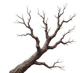 Detailed illustration of bare tree branch with intricate, twisted limbs, showcasing its,cut out