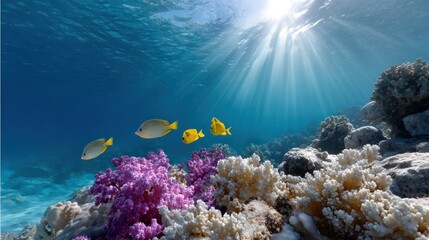 Underwater view of a coral reef with colorful fish swimming near the surface where the sunlight filters through the clear ocean water