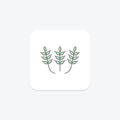 Paddy Patterns, vector, pixel perfect, illustrator file