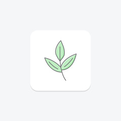 Wild Herb Patch, vector, pixel perfect, illustrator file