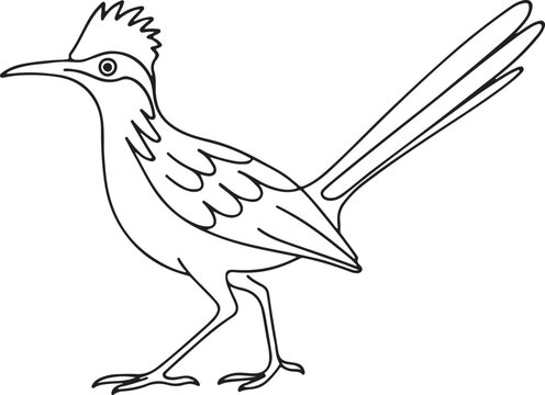 Greater Roadrunner Bird Line Art Minimalist Style