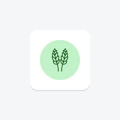 Paddy In Bloom, vector, pixel perfect, illustrator file