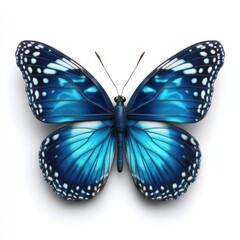 Close-up view of a vibrant blue butterfly.