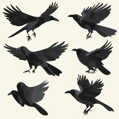 Graphic Set Of Dark Raven Illustrations With Various Poses And Wing Positions In A Vector Format