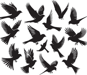 Obraz premium set of vector birds