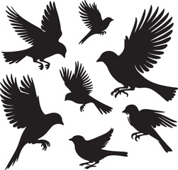 Obraz premium silhouette birds