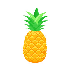 "Minimalistic and Realistic Nature-Inspired Vector Illustrations | High-Quality Botanical and Object Designs"