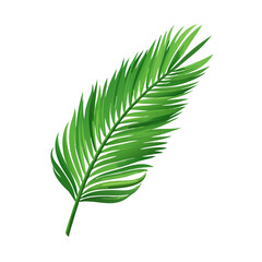 "Minimalistic and Realistic Nature-Inspired Vector Illustrations | High-Quality Botanical and Object Designs"
