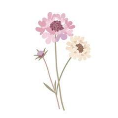Pastel Pink and Yellow Flower Illustration