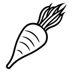 Parsnip icon vector