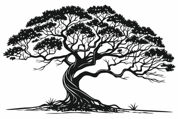 banyan tree sihouette black vector