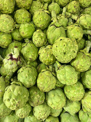 Fresh Pile of Green Artichokes