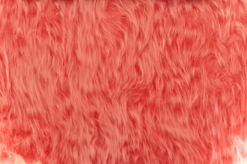Soft pink fluffy fur