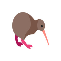 Illustration of a brown kiwi bird with a long beak and pink legs standing on a white background view