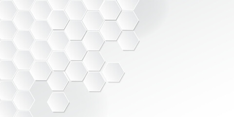 Abstract paper Hexagon white Background, light and shadow. Vector illustration