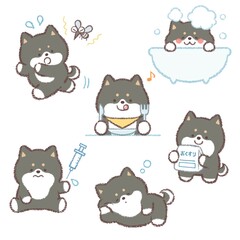 黒柴犬バリエーションセット