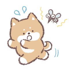蚊から逃げる柴犬