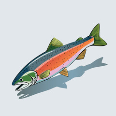 Rainbow Trout Vector Illustration with Flat Design, Clean Line Art, and Modern Minimalist AestheticArt.