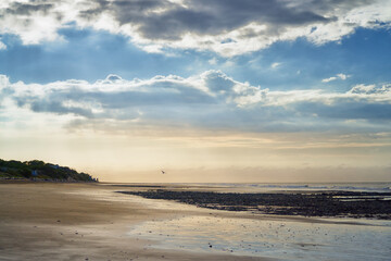 Golden sunrise illuminates sandy beach and gentle waves under dramatic cloudy sky, creating serene coastal landscape