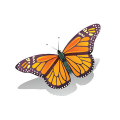 Fototapeta premium Monarch Butterfly Vector Illustration with Flat Design, Clean Line Art, and Modern Minimalist AestheticArt.