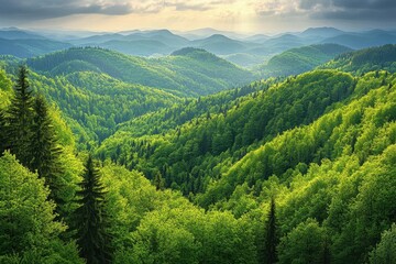 Obraz premium Lush green valley with mountains