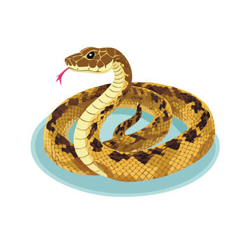 coiled snake on blue plate clip art preview