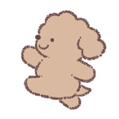 歩くトイプードル