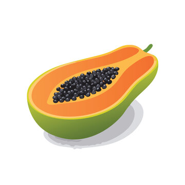 half papaya fruit orange green clip art preview