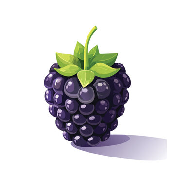 purple blackberry fruit green leaves white background clip art preview