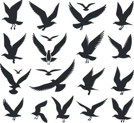 Set of seagull silhouette vectors