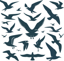 Set of seagull silhouette vectors