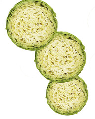 Design image of green cabbage cut in a circle on a white background