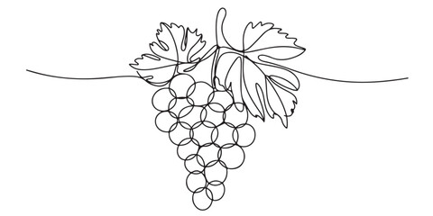 set of black Line Art Grape Bunches with Leaves, Single Line Drawing of Grapes with Leaf, Grapes in continuous line art drawing style, 
