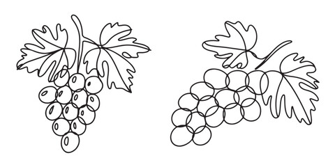 Obraz premium set of black Line Art Grape Bunches with Leaves, Single Line Drawing of Grapes with Leaf, Grapes in continuous line art drawing style, 
